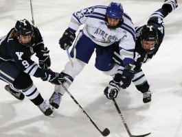 体脂秤OKOK官方下载